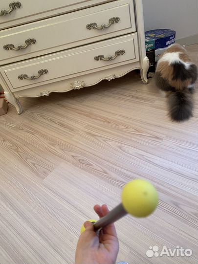 Булавы indigo 41 см