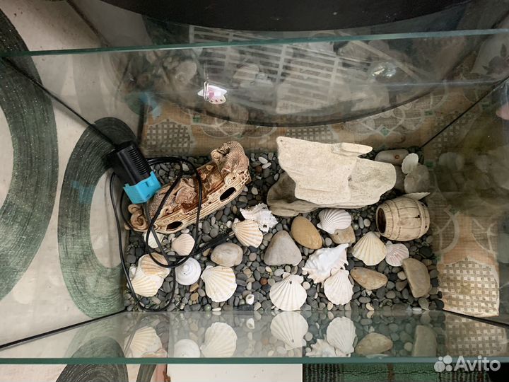 Аквариум