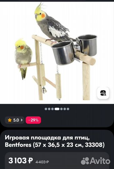 Игровая площадка для птиц
