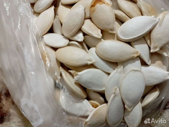 Семена тыквы