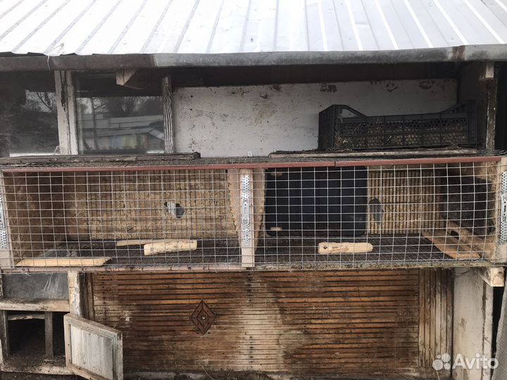 Клетки для кроликов