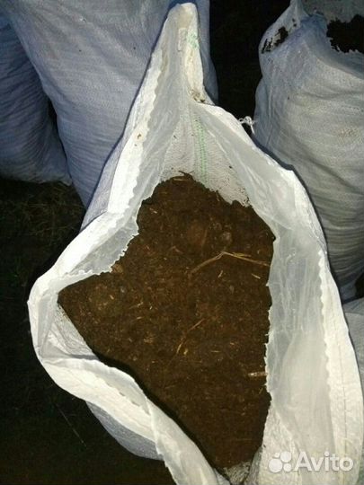 Конский навоз