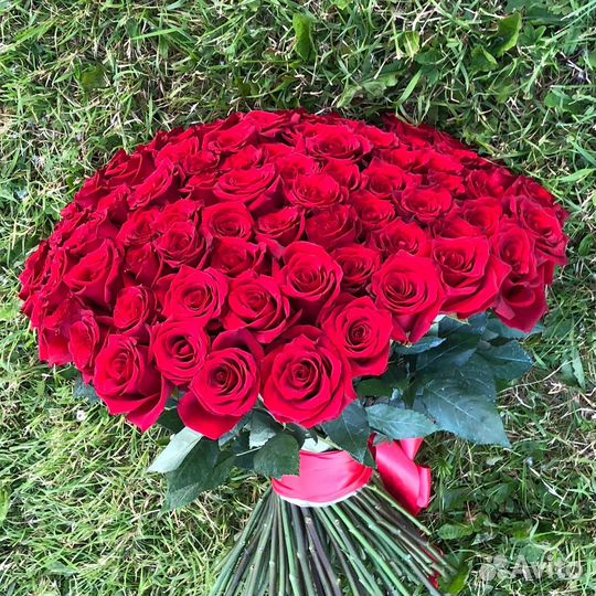 Розы одноголовые, заказать букет цветы