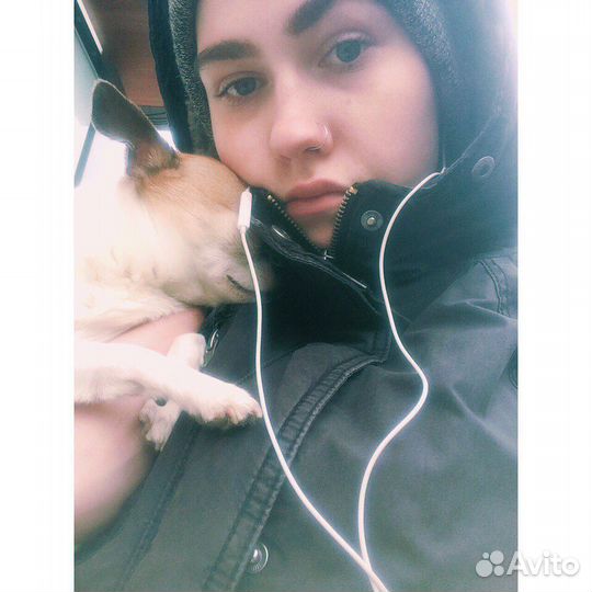 Выгул собак выгульщик