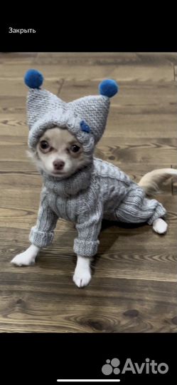Вязаная одежда для собак и кошек