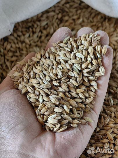 Корм для животных и птиц только опт