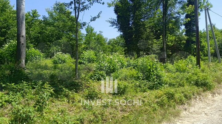 Участок 5,5 сот. (СНТ, ДНП)