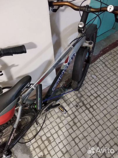 Stinger Professional