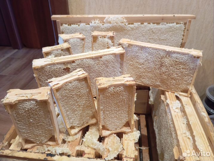 Мëд сотовый 2024, мед оптом, мед