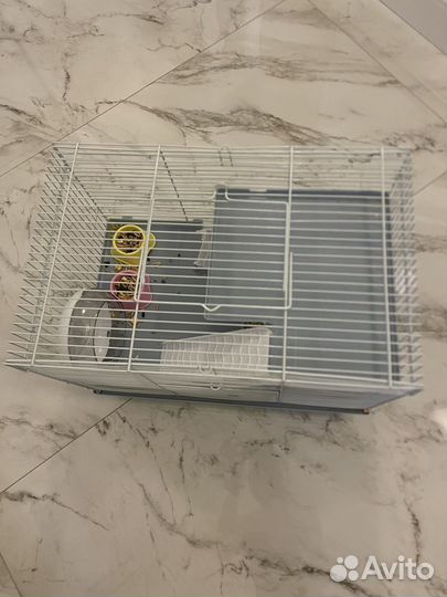 Хомяк и клетка