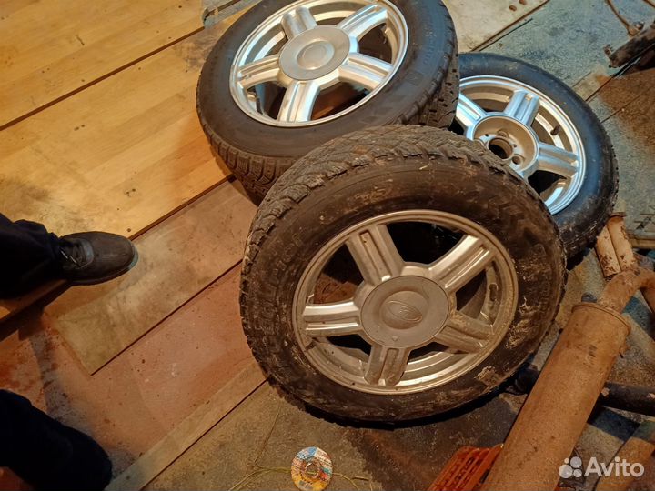 Торусы r14