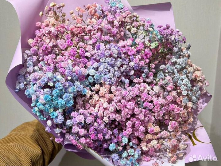 Розы Цветы Букеты 25 51 101