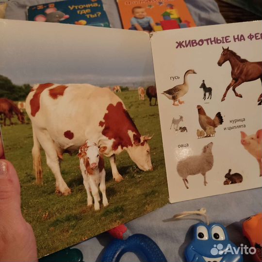 Книги игрушки для малыша пакетом