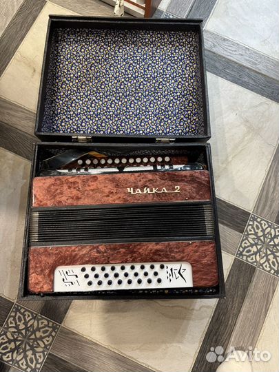 Гармонь чайка 2