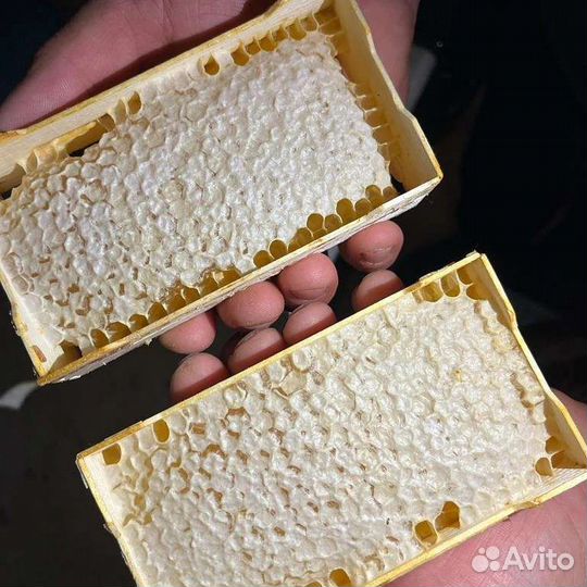 Мед, соты, пчелпакеты