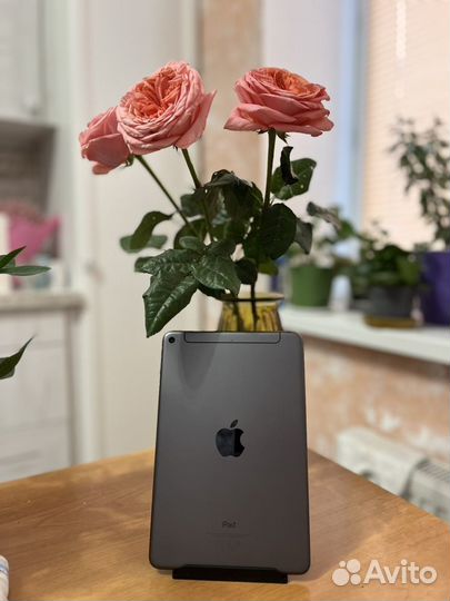 iPad Mini 5 2019 Cellular+WiFi 64g