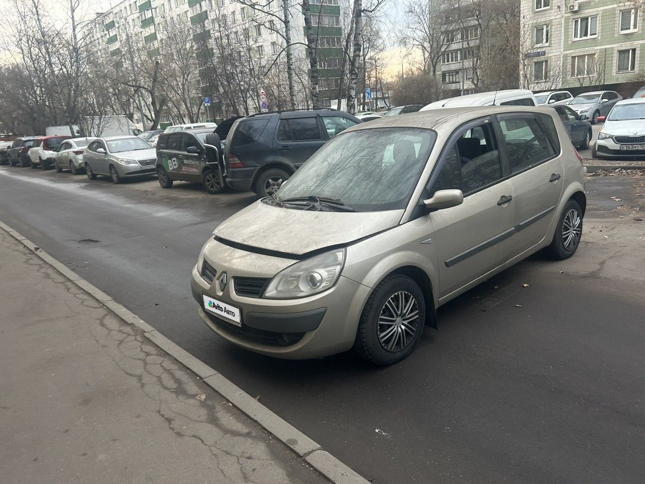 Renault Scenic: фото владельца