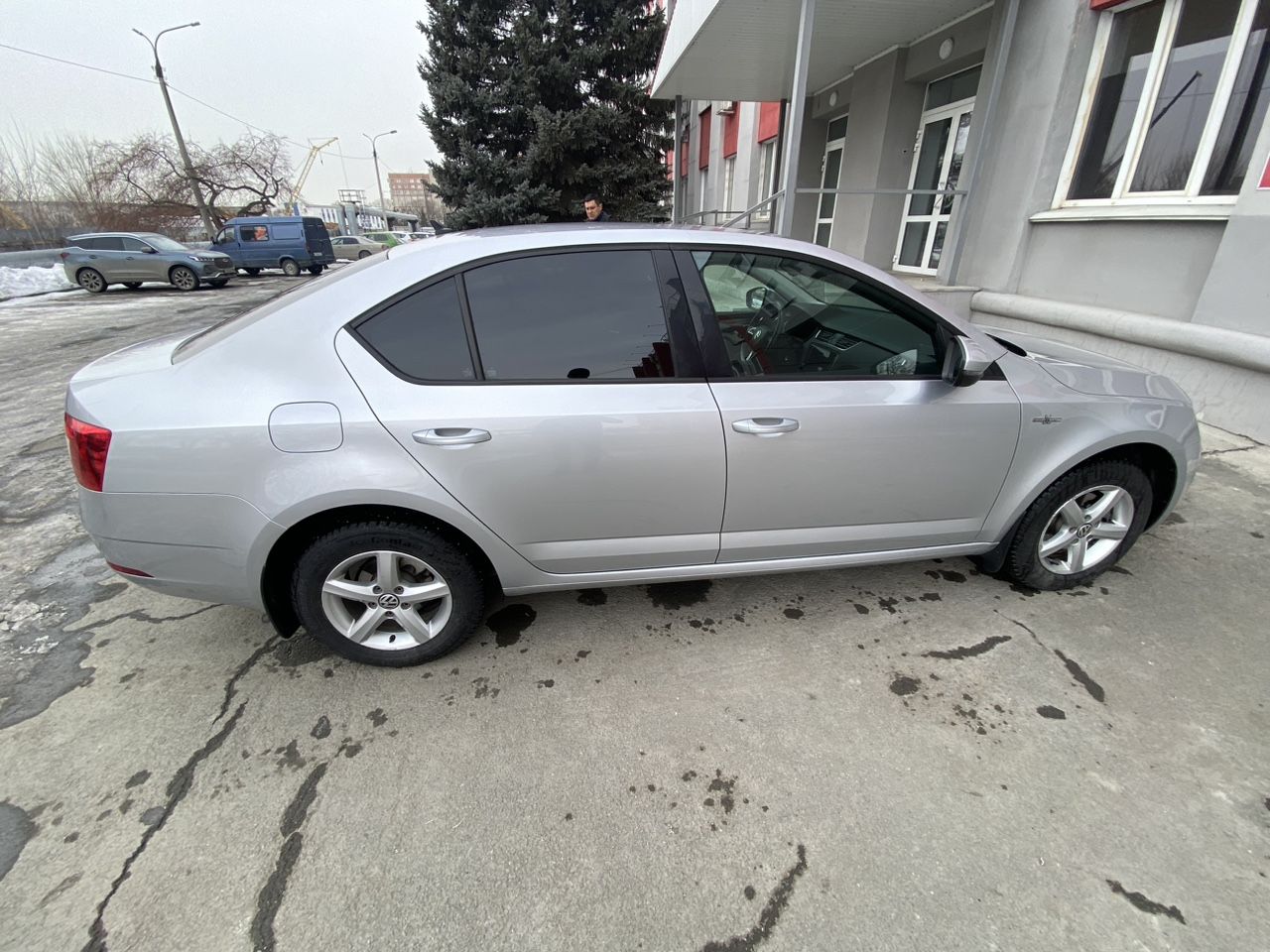 Skoda Octavia: фото владельца