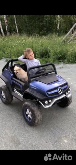 Mercedes унимог