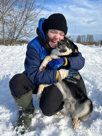 Собачка для семьи,звоночек