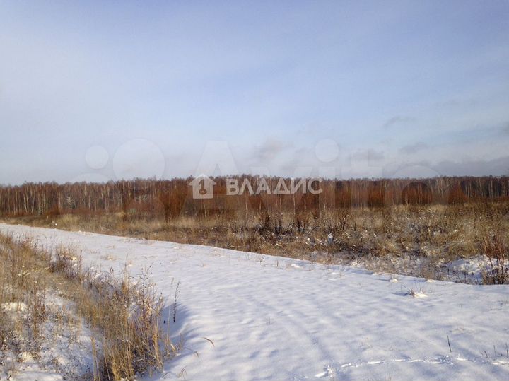 Участок 17,14 га (ИЖС)