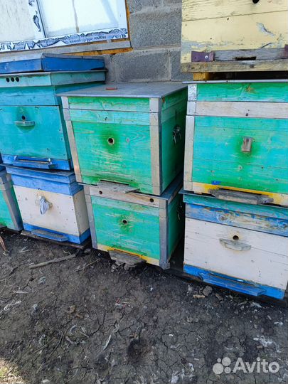 Улей для пчел