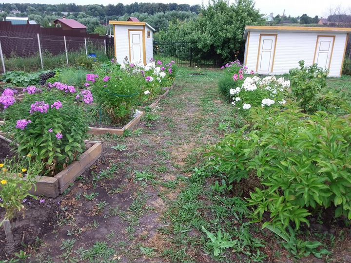 Дом 30,2 м² на участке 10 сот.