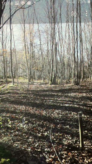 Участок 6,1 сот. (СНТ, ДНП)