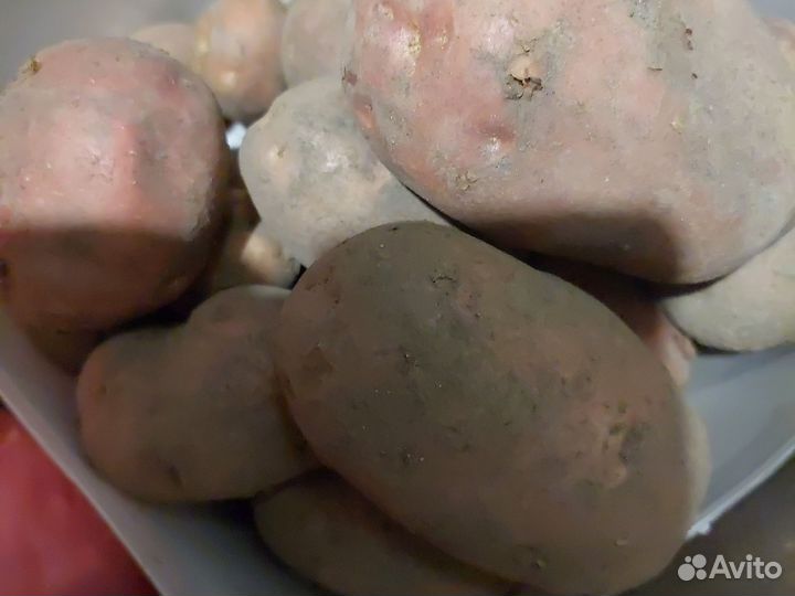 Овощи с огорода