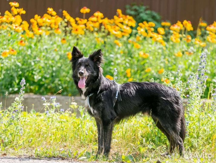 Малыш в беде