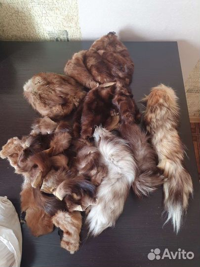 Шкурка животного