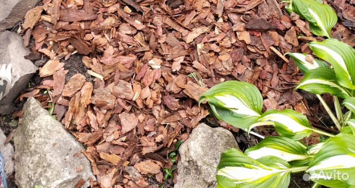 Кора лиственницы в Раменском доставка и самовывоз