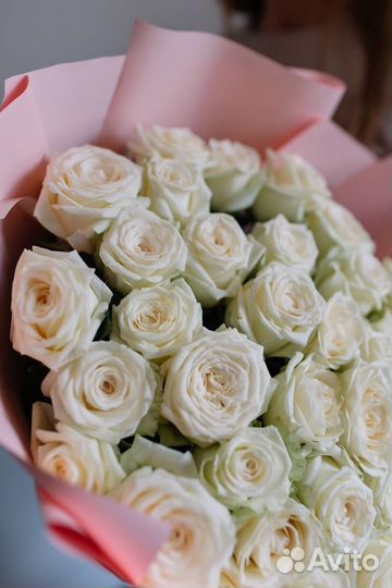 Розы свежие