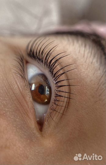 Ламинирование бровей/ресниц