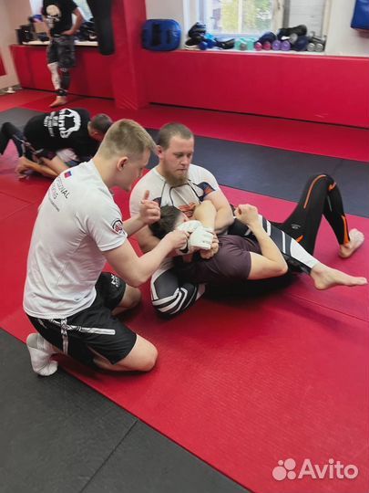 Индивидуальные тренировки: Бокс, Тайский бокс, мма