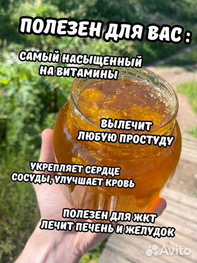 Невкусный Дикий мед