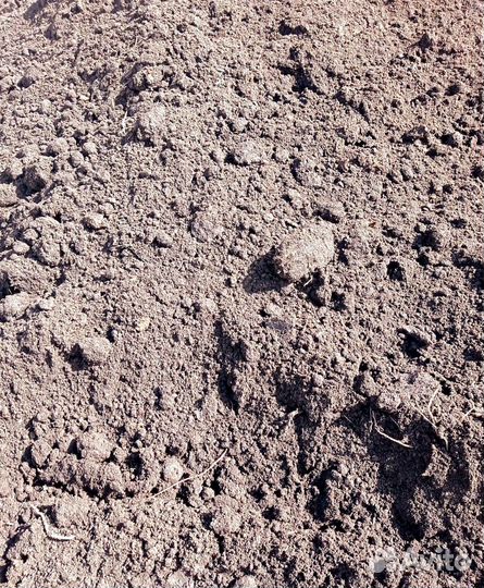 Грунт Плодородный (Земля)