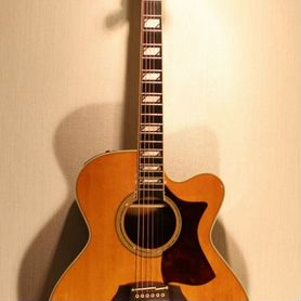 Takamine dmp 015 Jumbo Japan custom