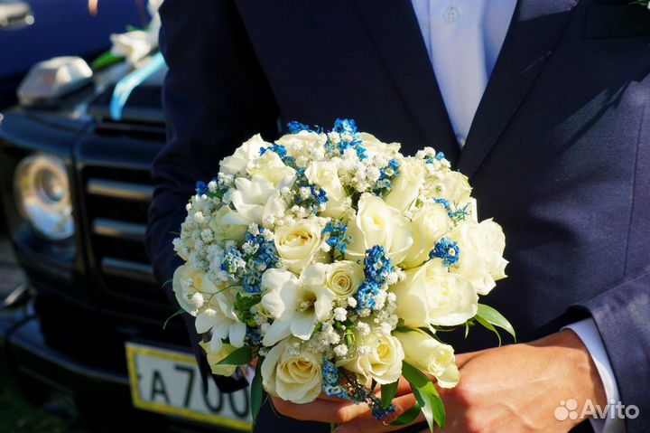 Фотограф, дизайнер