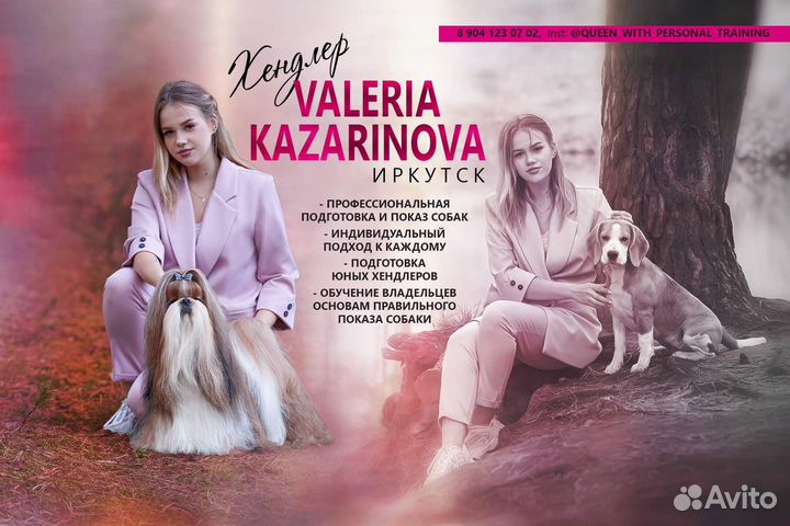 Хендлер. Подготовка к выставке