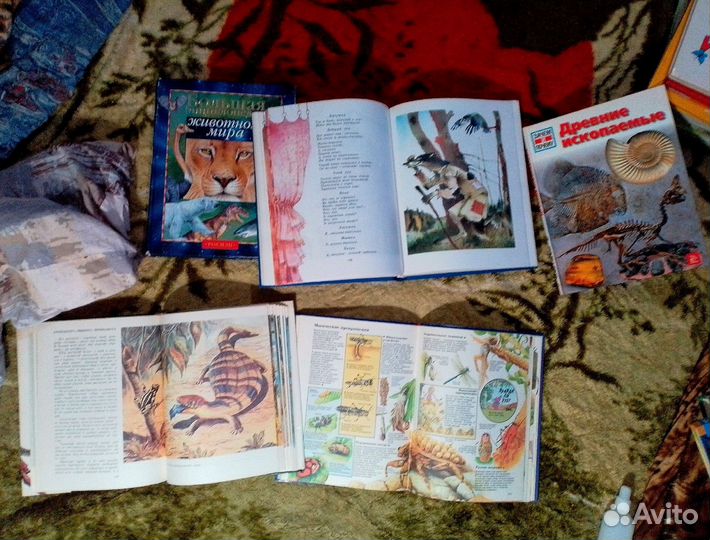 Энциклопедии и детские книги стихи