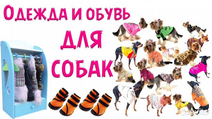 Одежда и обувь для собак