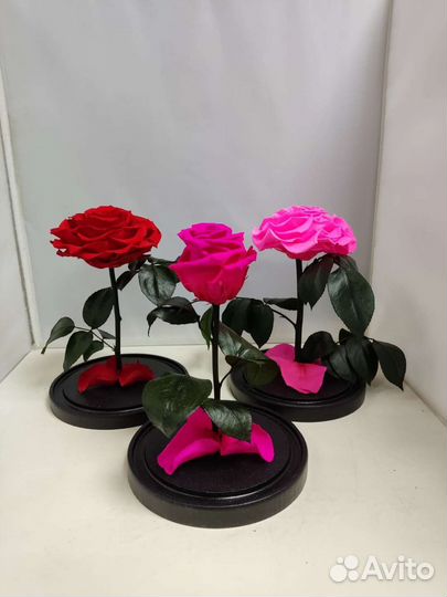 Подарок маме / Розы оптом