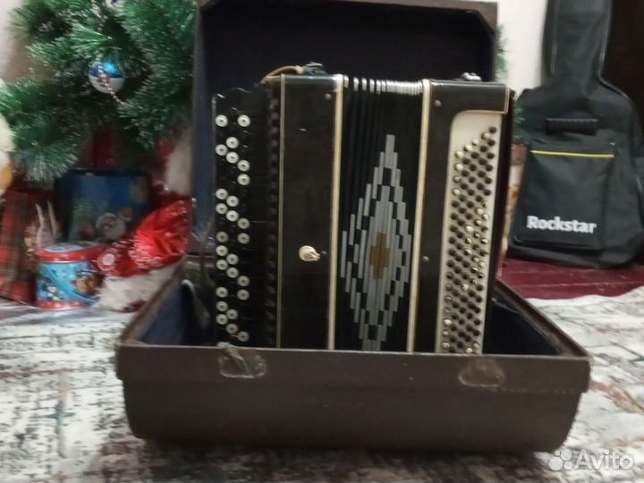 Баян вологодский