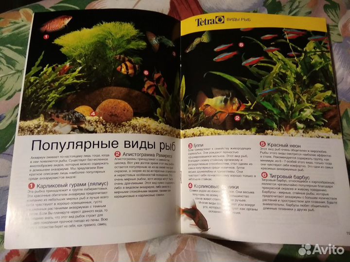 Очарование аквариумистики. Брошюра