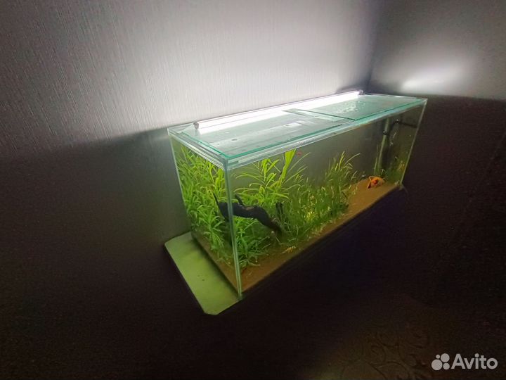 Аквариум 150 литров с тумбой