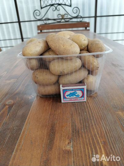 Картофель (Адретта )