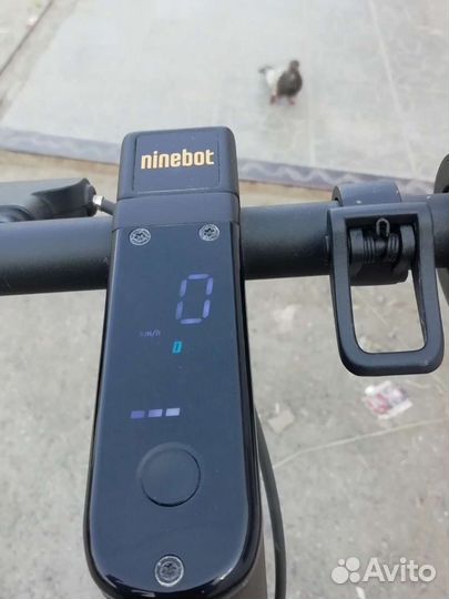 Электросамокат Ninebot KickScooter Max G30P