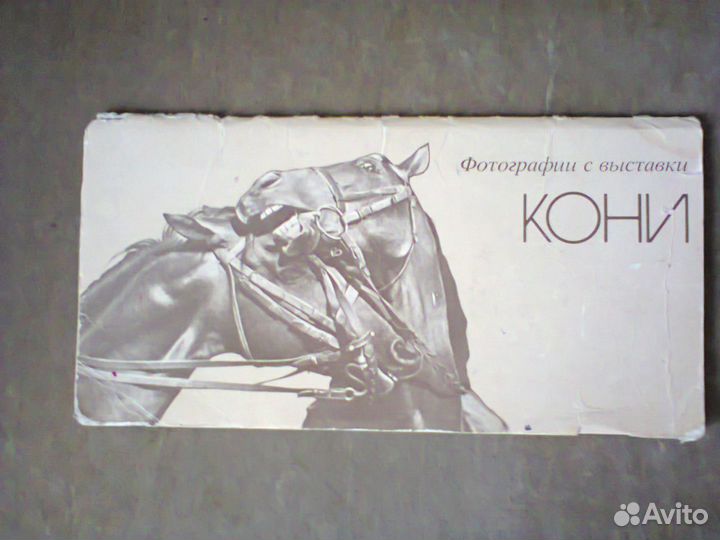 Набор фотографий