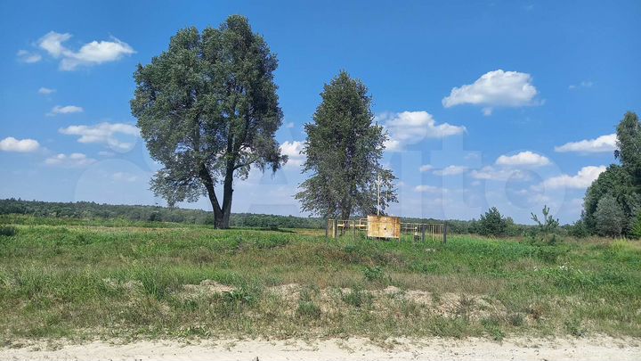 Участок 100 сот. (СНТ, ДНП)